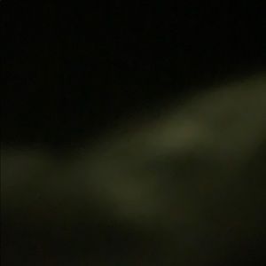 Meet your Posher, Ella